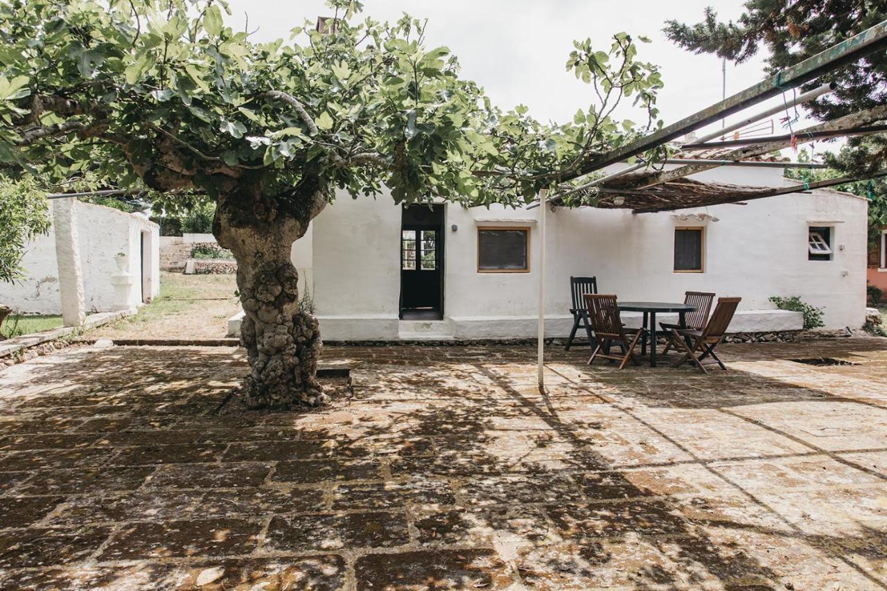 Agroturismo Son Triay Ferreries Ngoại thất bức ảnh